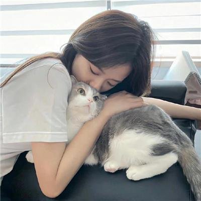 完美的主人